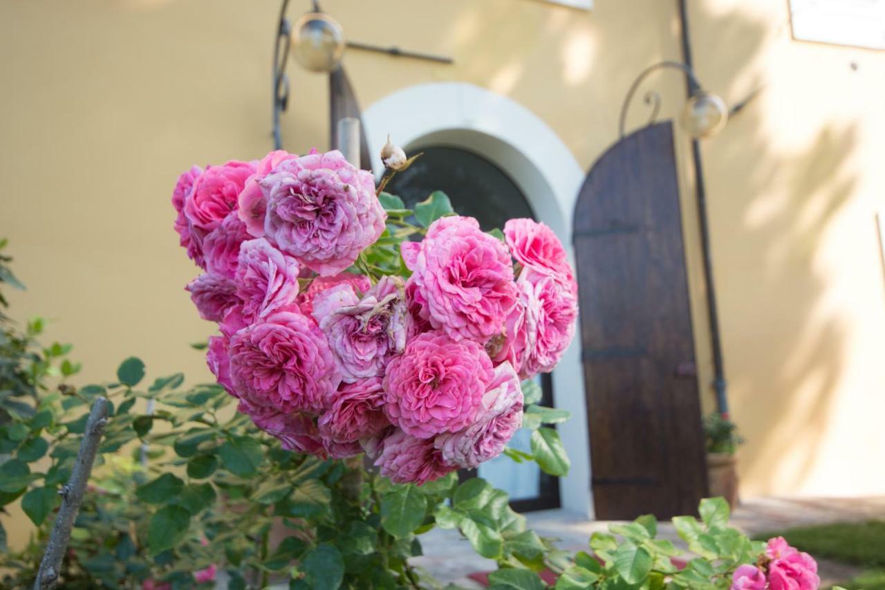 Casa Dei Lecci Daire Foligno Dış mekan fotoğraf